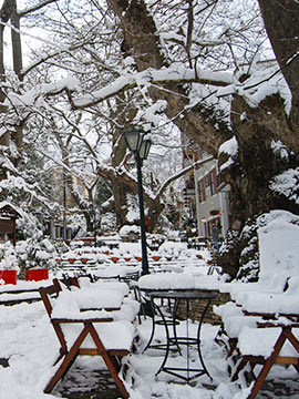 Winter in Pelion