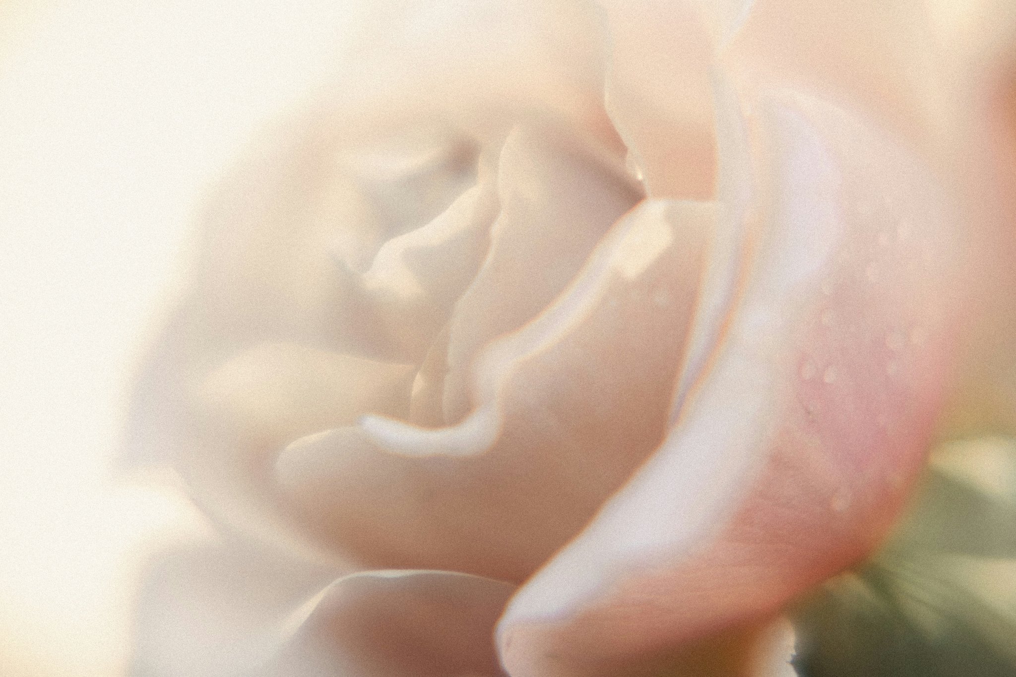 Unlock the Magic of Delicate Updo Creations: A Step-by-Step Guide to Effortless Elegance