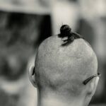 Refined Updo Creations: Elevate Your Hair Game with These Expert Tips